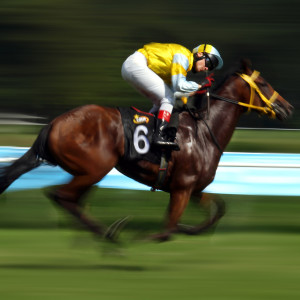 Izabela Rajca-Pisz Fotografia