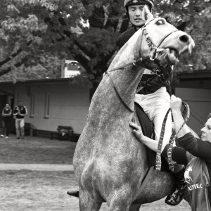 Izabela Rajca-Pisz Fotografia