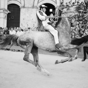 Izabela Rajca-Pisz Fotografia