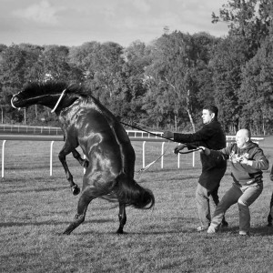 Izabela Rajca-Pisz Fotografia