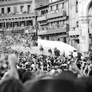 Izabela Rajca-Pisz Fotografia