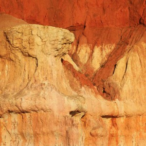 Izabela Rajca-Pisz Fotografia